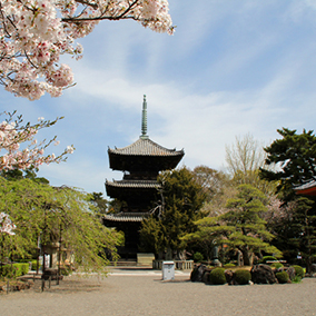 桜の季節の美しさは格別、道成寺