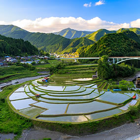 日本の棚田100選にも選ばれた、あまりにも美しすぎる風景。あらぎ島