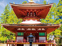 壇上伽藍