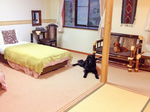 愛犬と癒しのアジアンリゾート　海宿　太陽人の客室の写真
