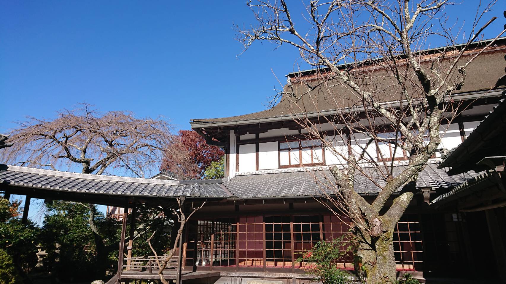 吉野山で花見と神社巡り。アクセス便利な宿