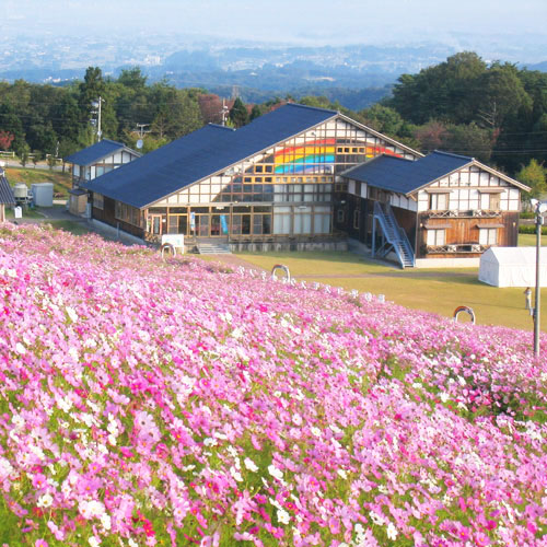 夢の平コスモス荘の画像