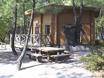 くにの松原キャンプ場の写真