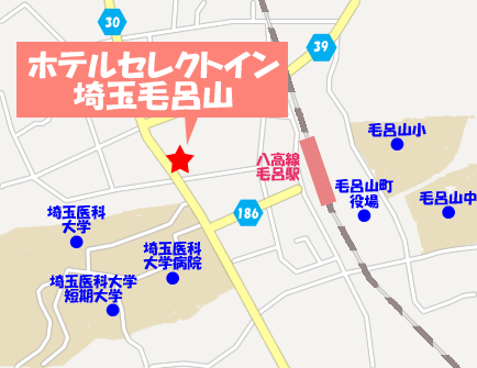 ホテルセレクトイン埼玉毛呂山への概略アクセスマップ