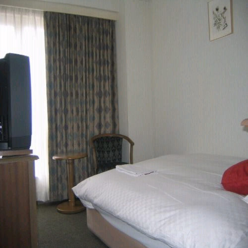 パールホテル溝ノ口の客室の写真