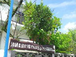 沖縄で格安のおすすめコンドミニアム＆キッチン付きホテル