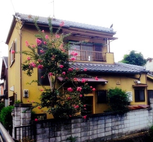 京ｍｕｃｈ家の写真