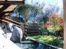 MIZUKAMISO（温泉旅館　水上荘）の客室の写真