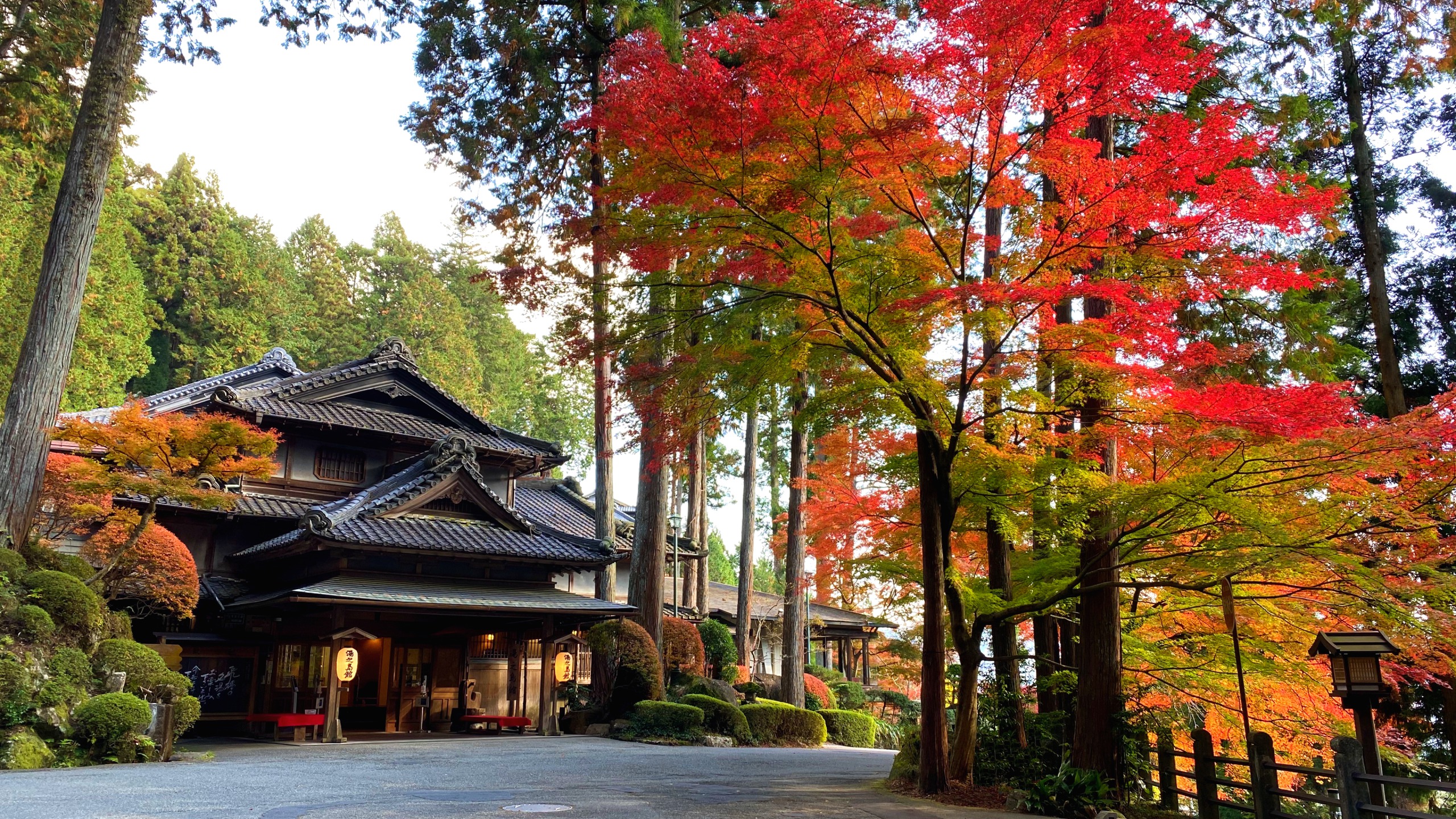下呂温泉で部屋食がとれて、近くで紅葉をみながら散歩できる旅館がいいです。教えてください。