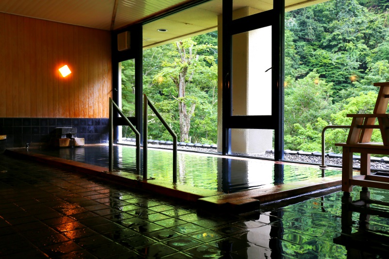 松川渓谷に佇む宿　信州山田温泉　山田館の客室の写真