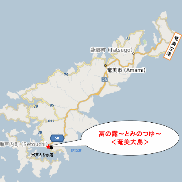 冨の露〜とみのつゆ〜＜奄美大島＞への概略アクセスマップ