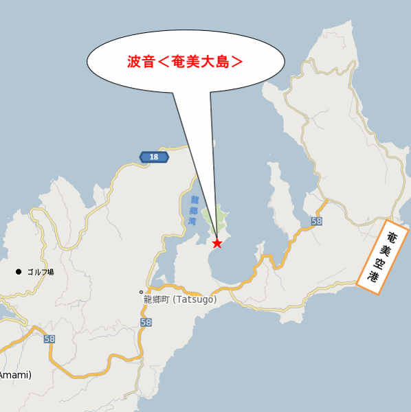 波音＜奄美大島＞への概略アクセスマップ