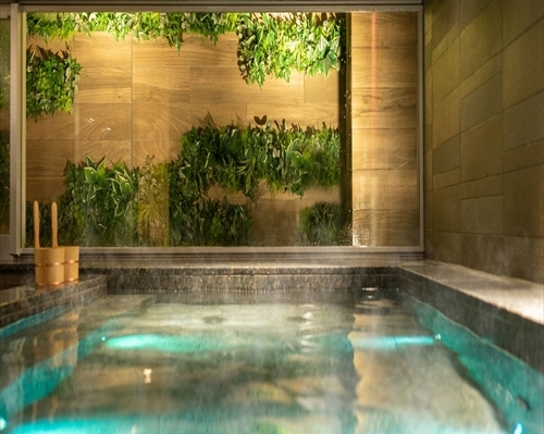 天然温泉　ひなたの湯　スーパーホテルＰｒｅｍｉｅｒ宮崎一番街の客室の写真
