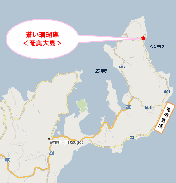 蒼い珊瑚礁＜奄美大島＞への概略アクセスマップ