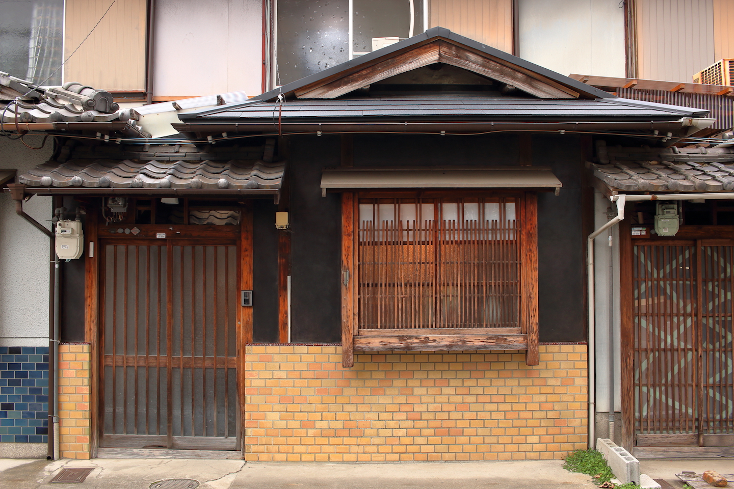 京まいまいの画像