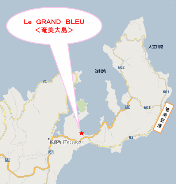 Ｌｅ　ＧＲＡＮＤ　ＢＬＥＵ（ル・グランブルー）＜奄美大島＞への概略アクセスマップ