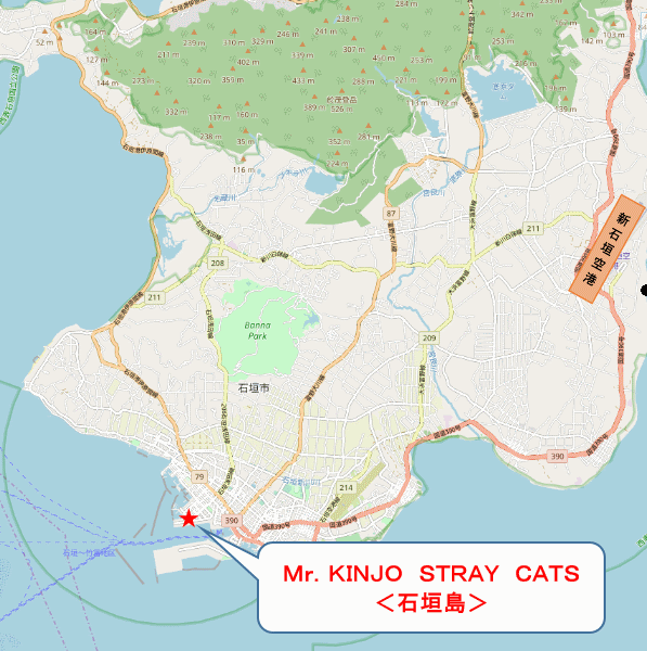 Ｍｒ．ＫＩＮＪＯ　ＧＲＡＮＤ　ＣＡＴＳ＜石垣島＞への概略アクセスマップ