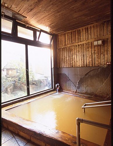 毒沢ミネラル療養泉　宮乃湯旅館の客室の写真
