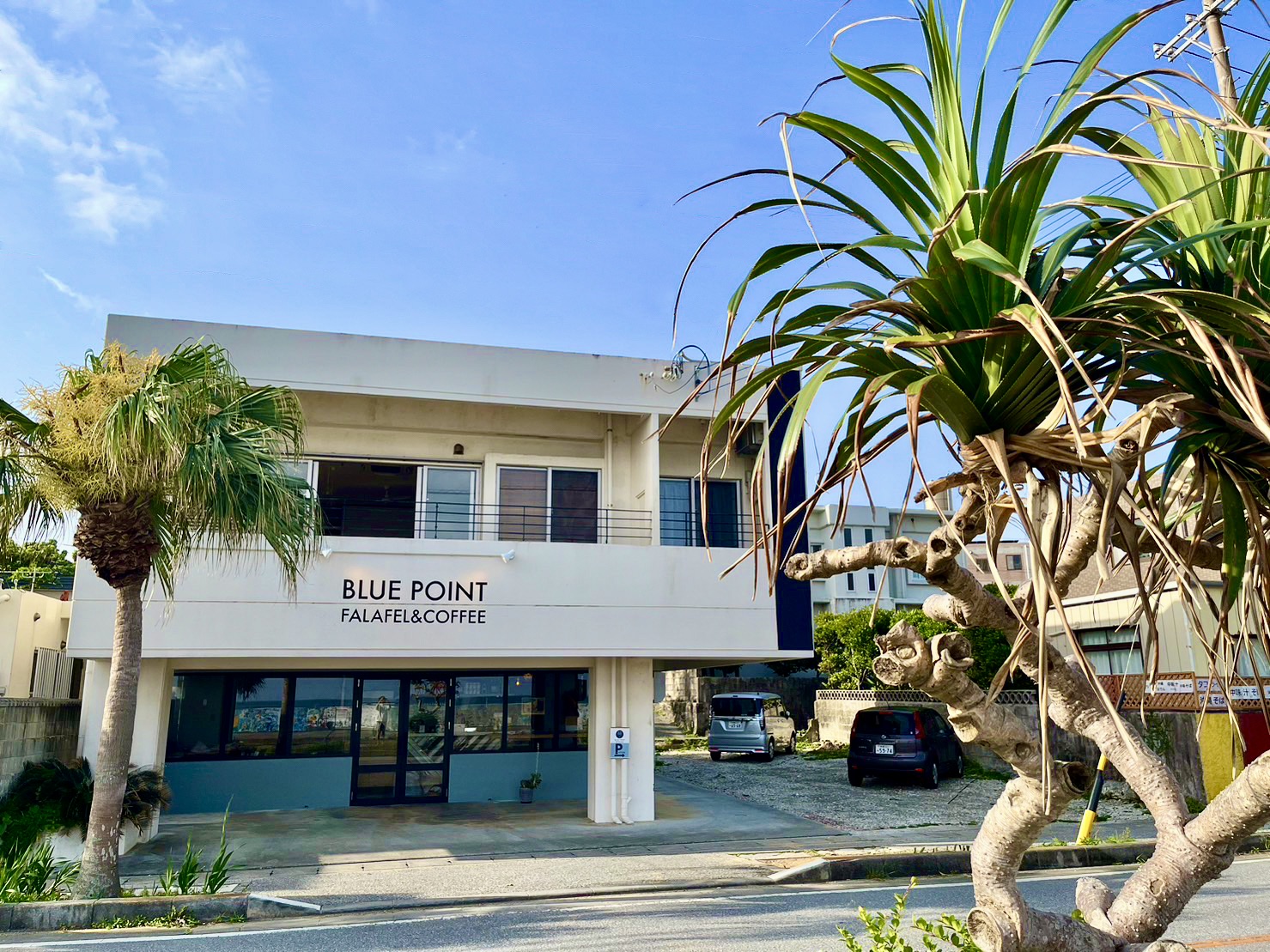 ＢＬＵＥ　ＰＯＩＮＴ　ＯＫＩＮＡＷＡの画像