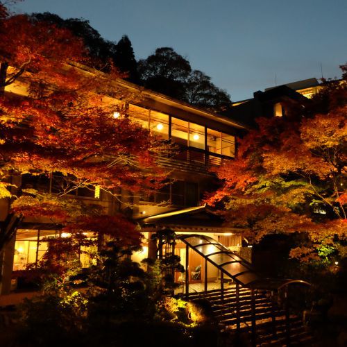 大阪から兵庫の温泉旅行！部屋食がおすすめの宿を教えてください。