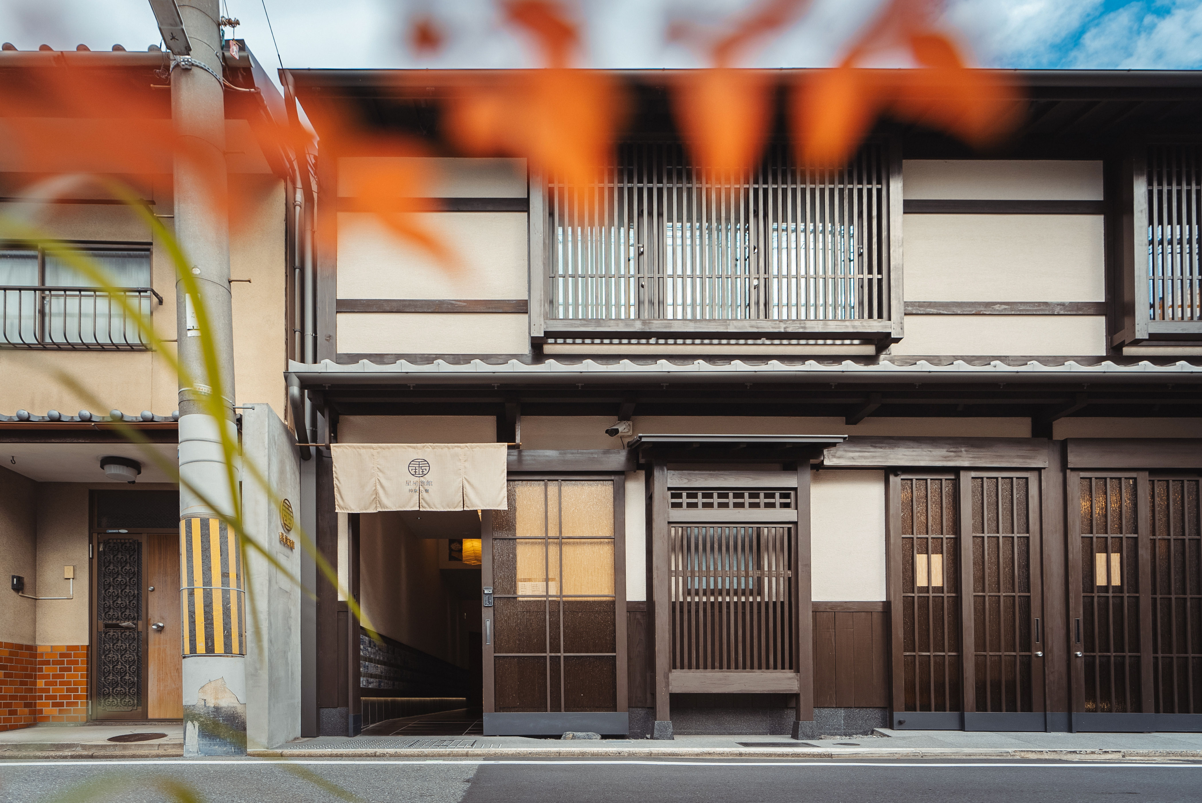 谷町君・星屋・神泉の宿の画像