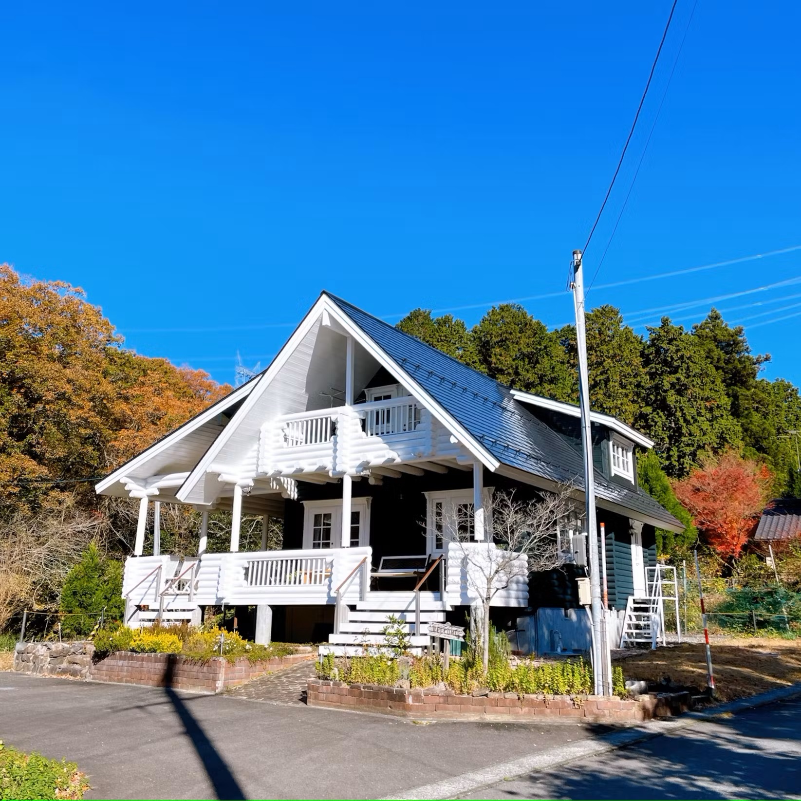 Ｐｒｉｖａｔｅ　Ｌｏｇ　Ｈｏｕｓｅ　‘ＯＬＩ’ＯＬＩの木　＾の画像