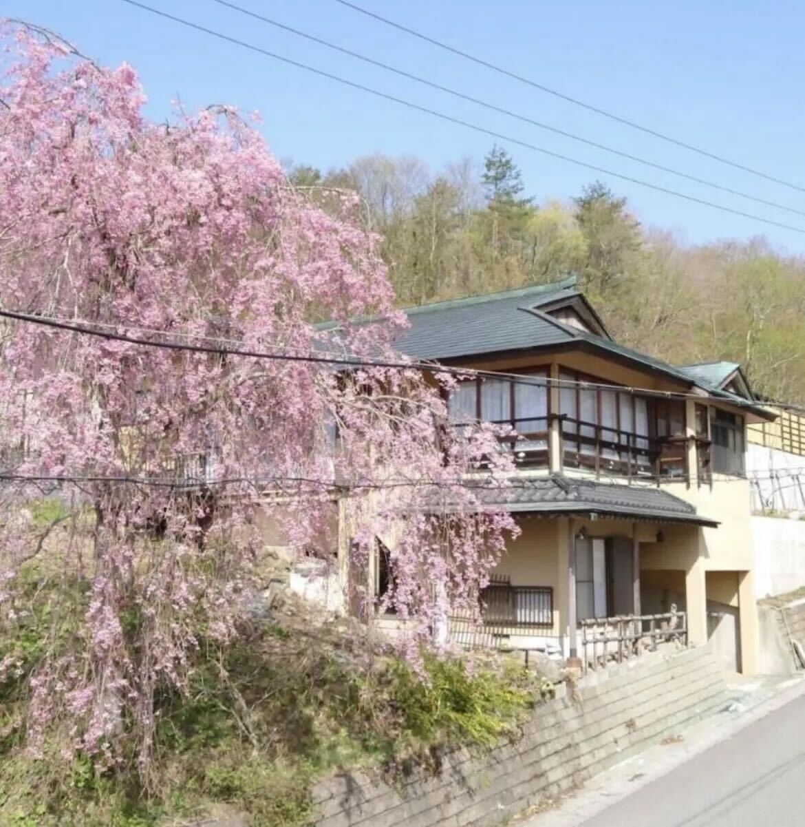 鳴子温泉郷　温泉付き貸別荘　やませみ　＾の画像