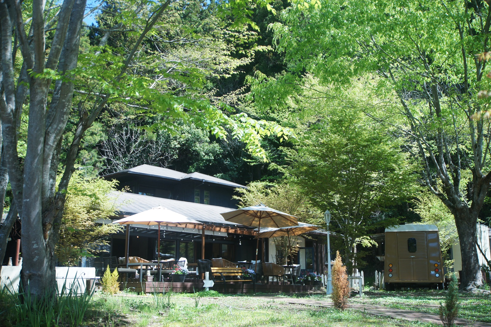 咲くカフェの写真