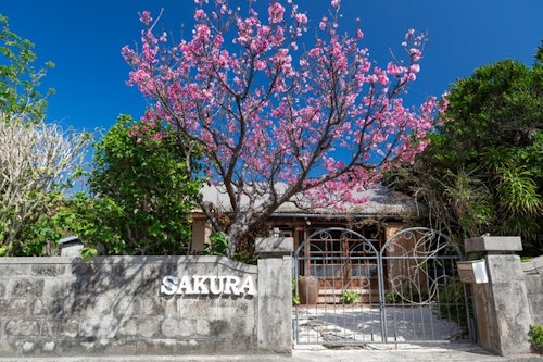 ＳＡＫＵＲＡ　ＨＯＵＳＥ【Ｖａｃａｔｉｏｎ　ＳＴＡＹ提供】の写真