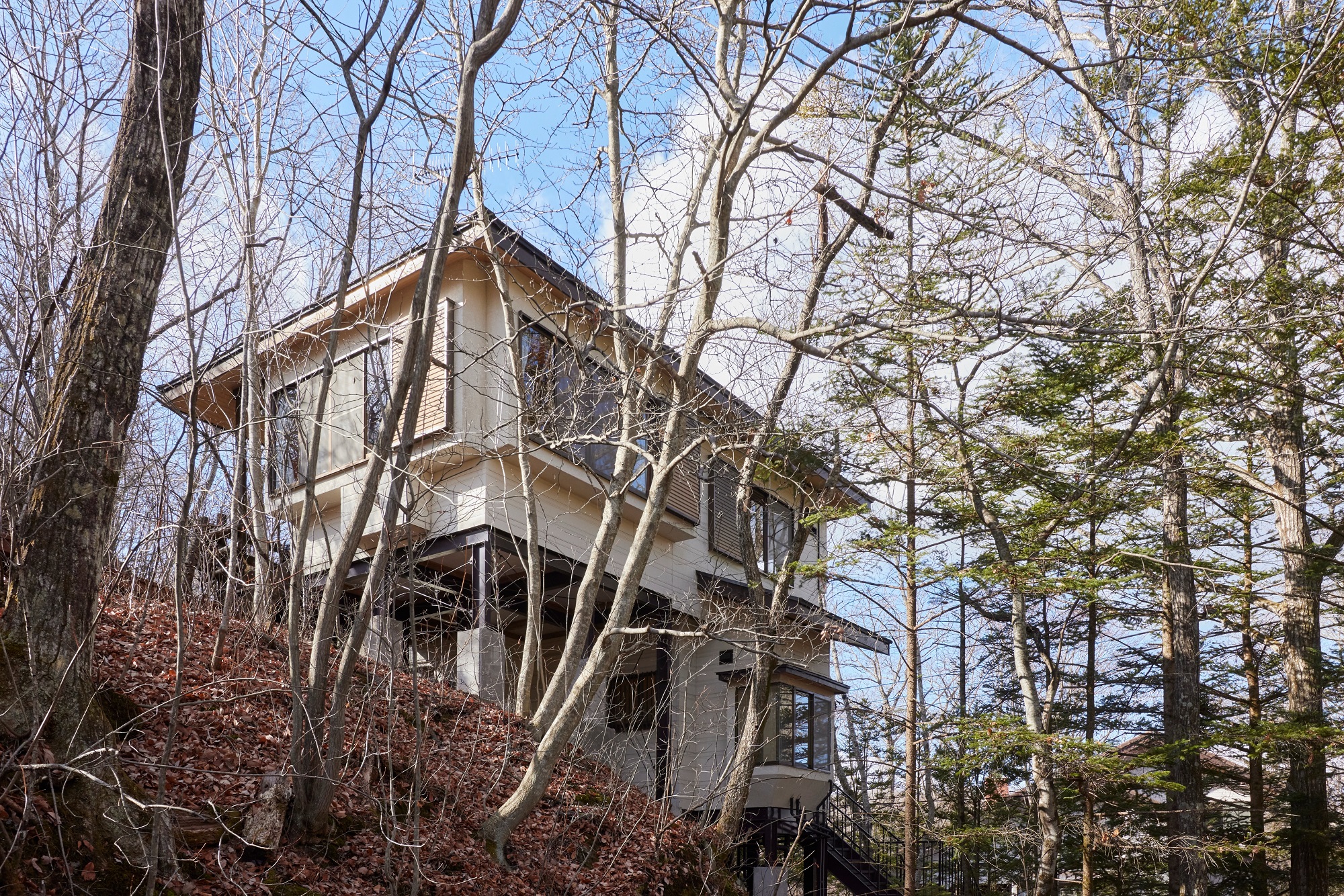 ｒｉｎｎｅ　２ｎｄ　ｌｉｖｉｎｇ　Ｋｉｔａｋａｒｕｉｚａｗａ　Ｆｏｒｅｓｔの写真