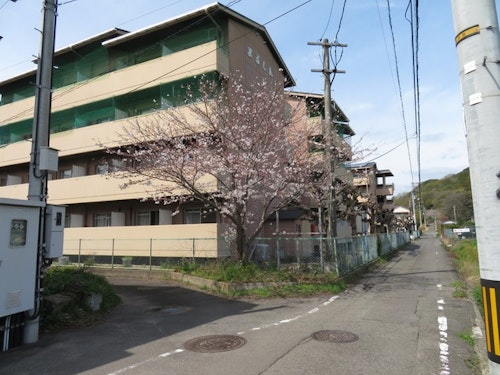 ベルエール小方南棟II(2階) ^の写真