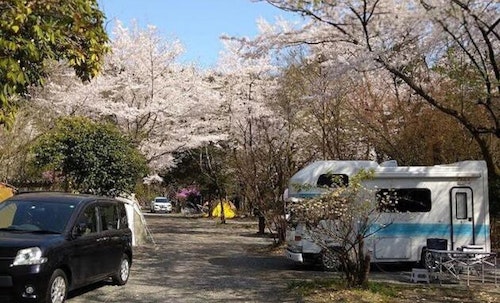 新富士オートキャンプ場 ^の写真