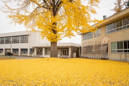 米沢みさわ小学校｜とここと　＾の写真