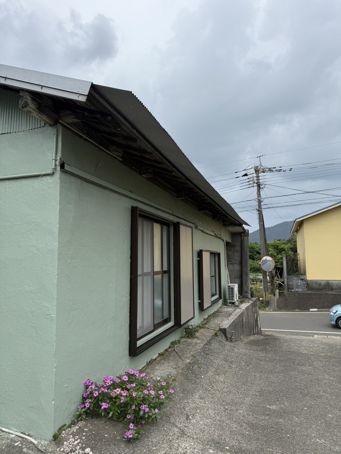 むじゅらい徳之島の写真