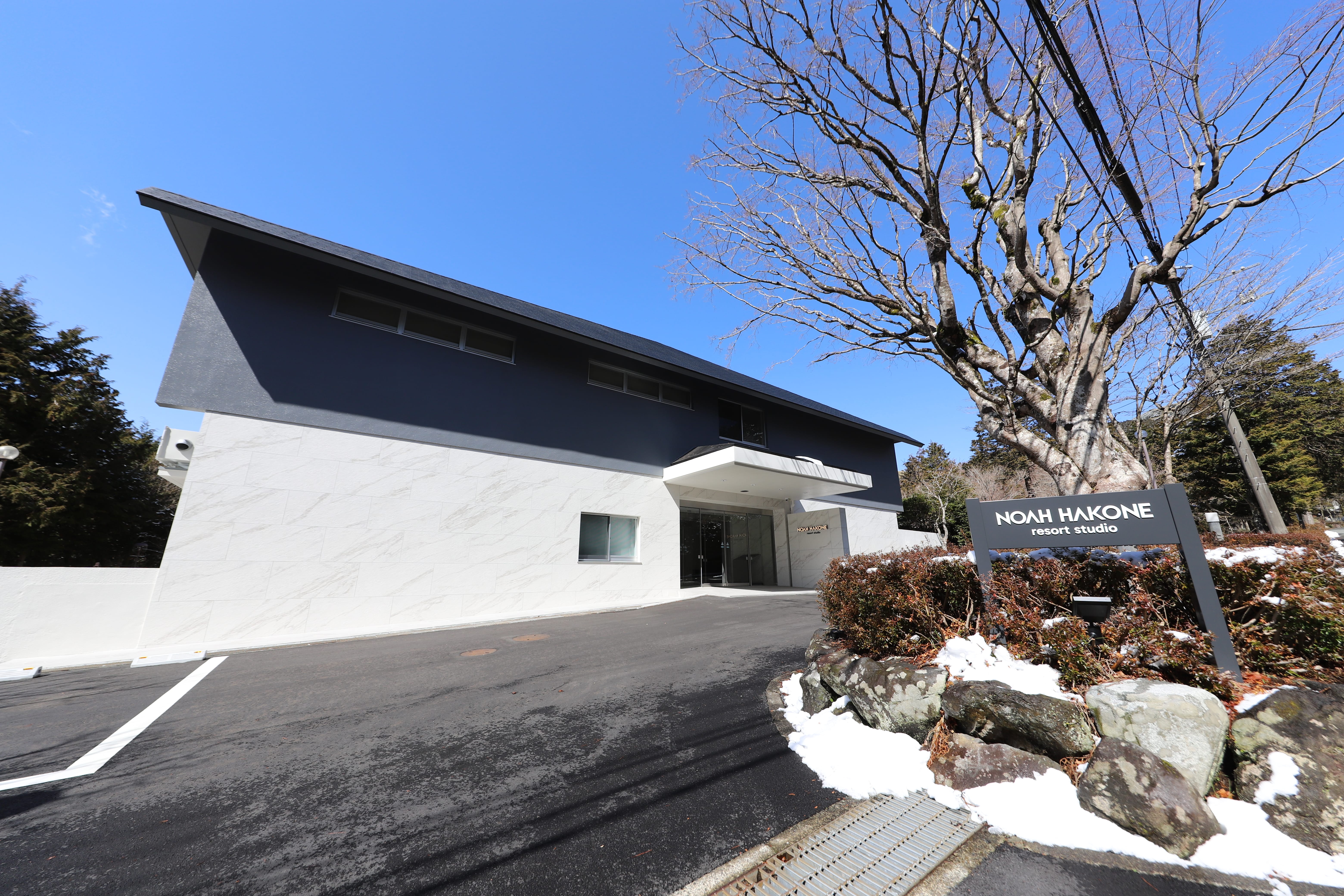 NOAH HAKONEの写真