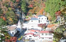 静岡の梅ヶ島温泉でおすすめの老舗旅館教えてください
