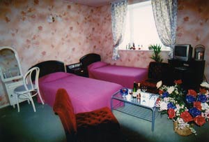 白浜ペンション　百万本のバラの客室の写真