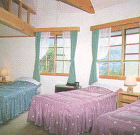 プチホテル　ピーターラビットの客室の写真