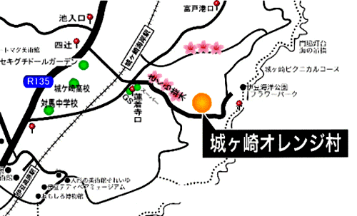 城ヶ崎オレンジ村の地図画像