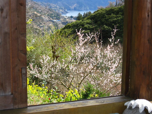 【海を望む山の露天風呂】アサンテサーナの客室の写真
