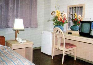 ゆたか旅館駅前館の客室の写真