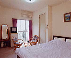 ステップイン白浜〜海辺の宿〜ブルーアイズ（素泊まり専用）の客室の写真