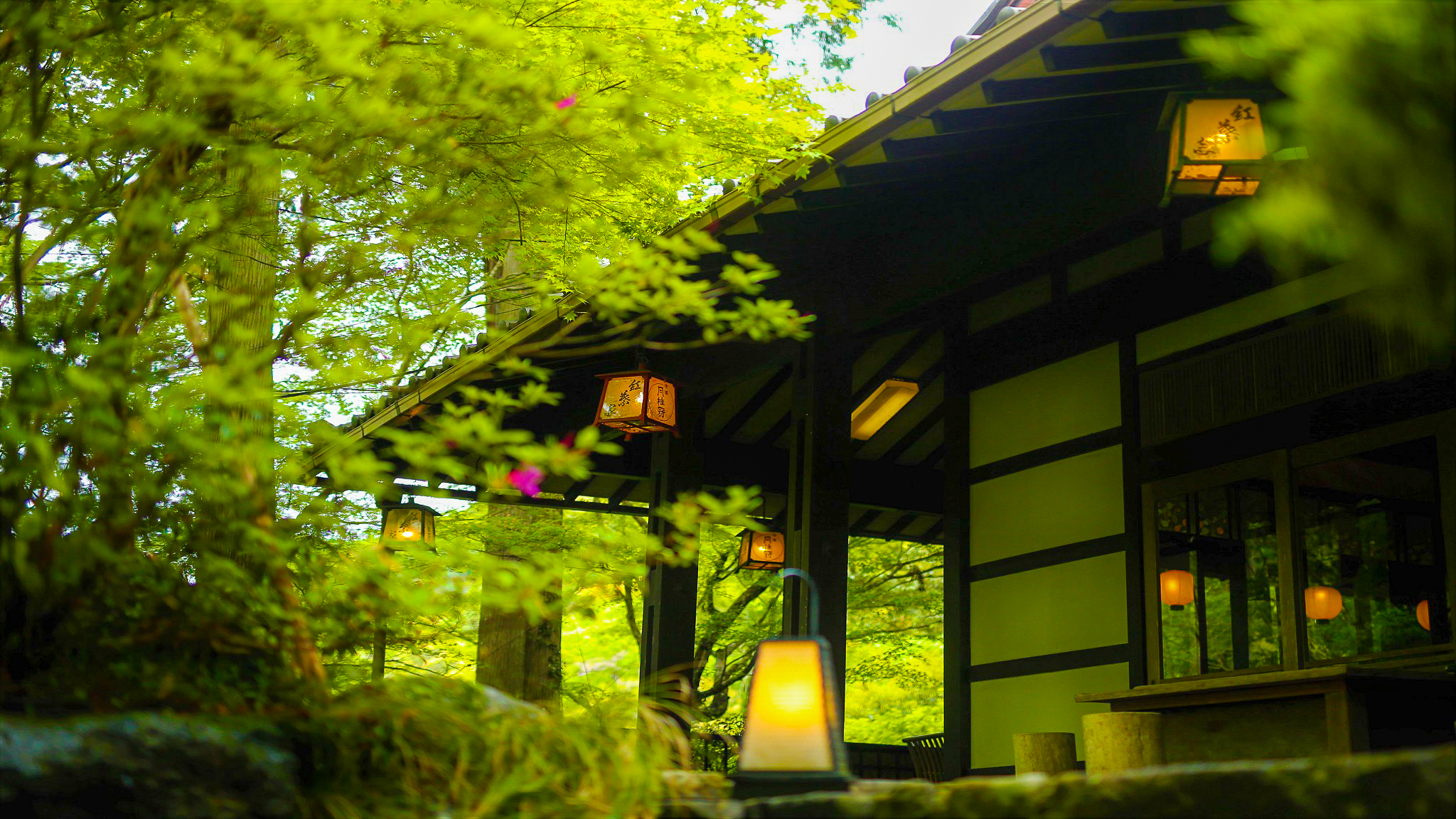 もみぢ家本館高雄山荘の画像