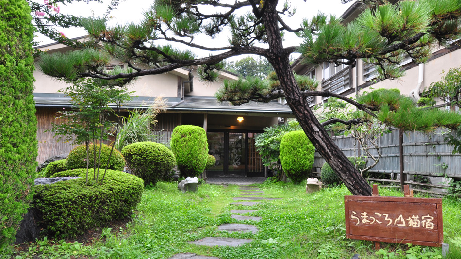 あじさいと森林浴！一関市で自然満喫できる宿は？
