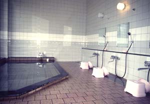 智恵子の湯の客室の写真
