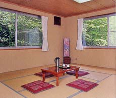 奈川渋沢温泉　アドバンテージの客室の写真