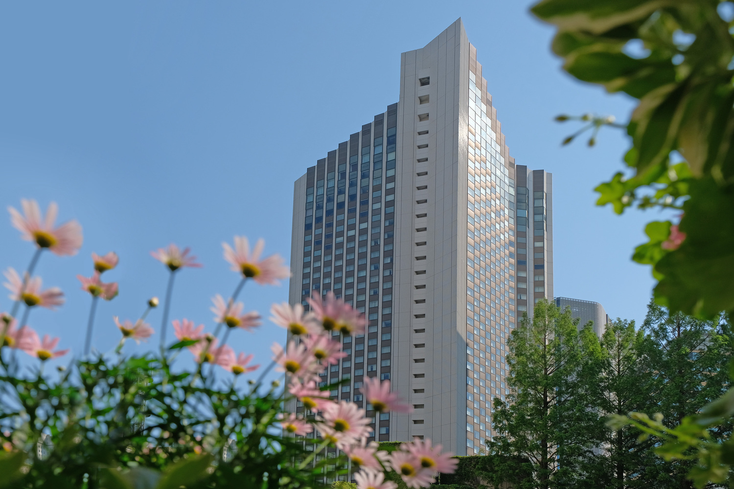 部屋から桜がみえる東京のホテル