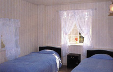 パームビーチリゾートホテル　＜大島＞の客室の写真