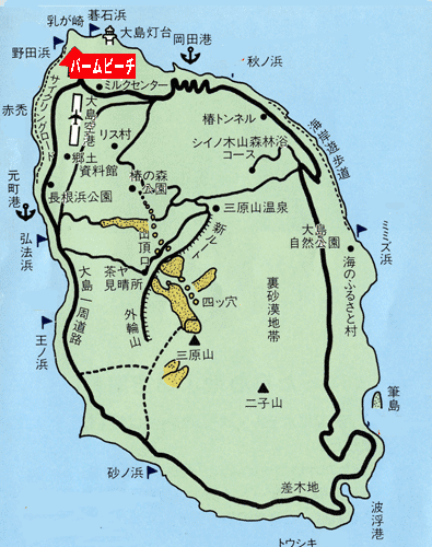 パームビーチリゾートホテル　＜大島＞への概略アクセスマップ