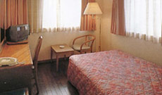 豊川ビジネスホテルの客室の写真
